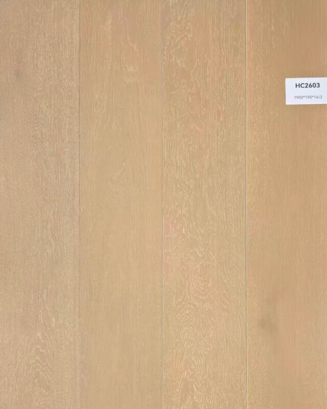 c46a014d9880f24b8ac96d3e6fbc046a